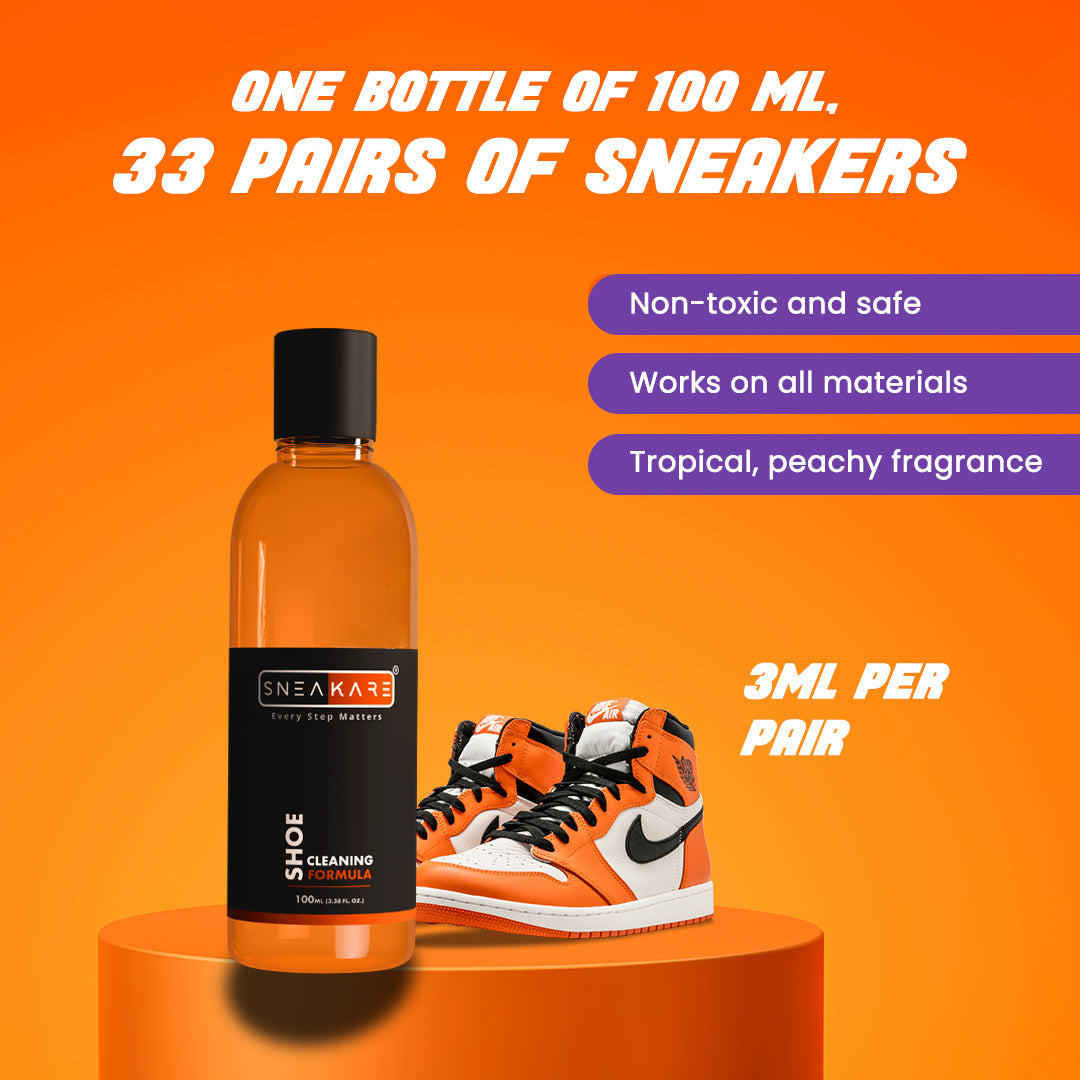 6 IN 1 Shoe Care Kit