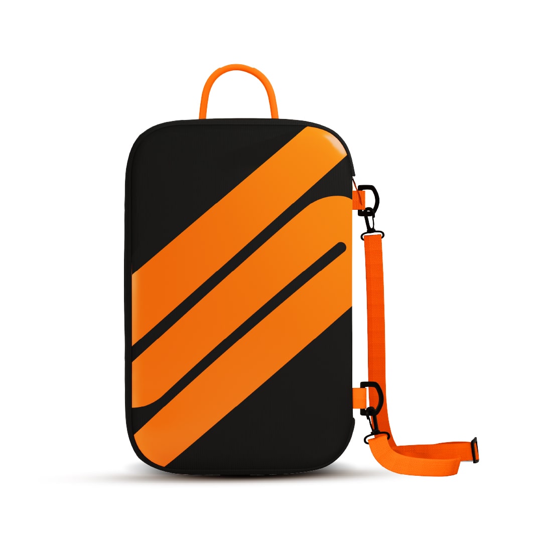 Shoe Bag